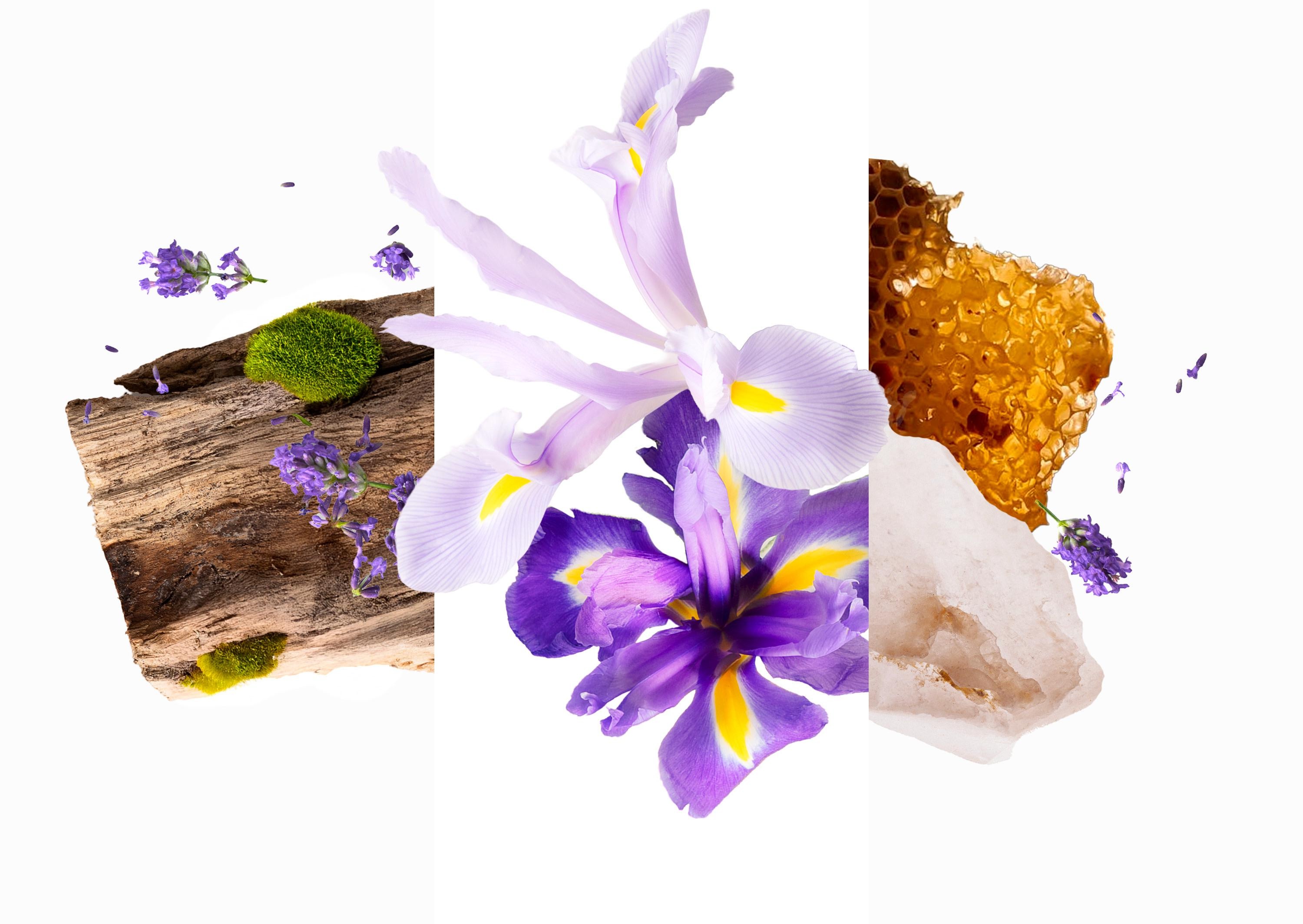 WhatsApp Image 2026-02-08 at 11.45.56 (1)